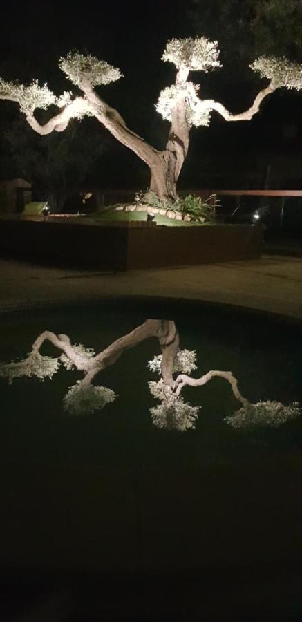 Les Gites De L'Arbousier Quissac  المظهر الخارجي الصورة